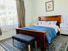 Modern Upstairs Apartment in Dunedin Central